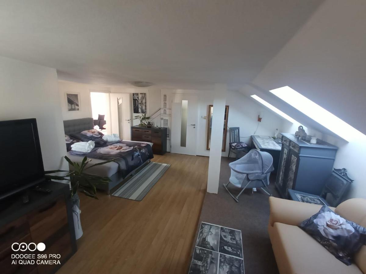 דירות רומבורק Podkrovni Apartman Tereza מראה חיצוני תמונה
