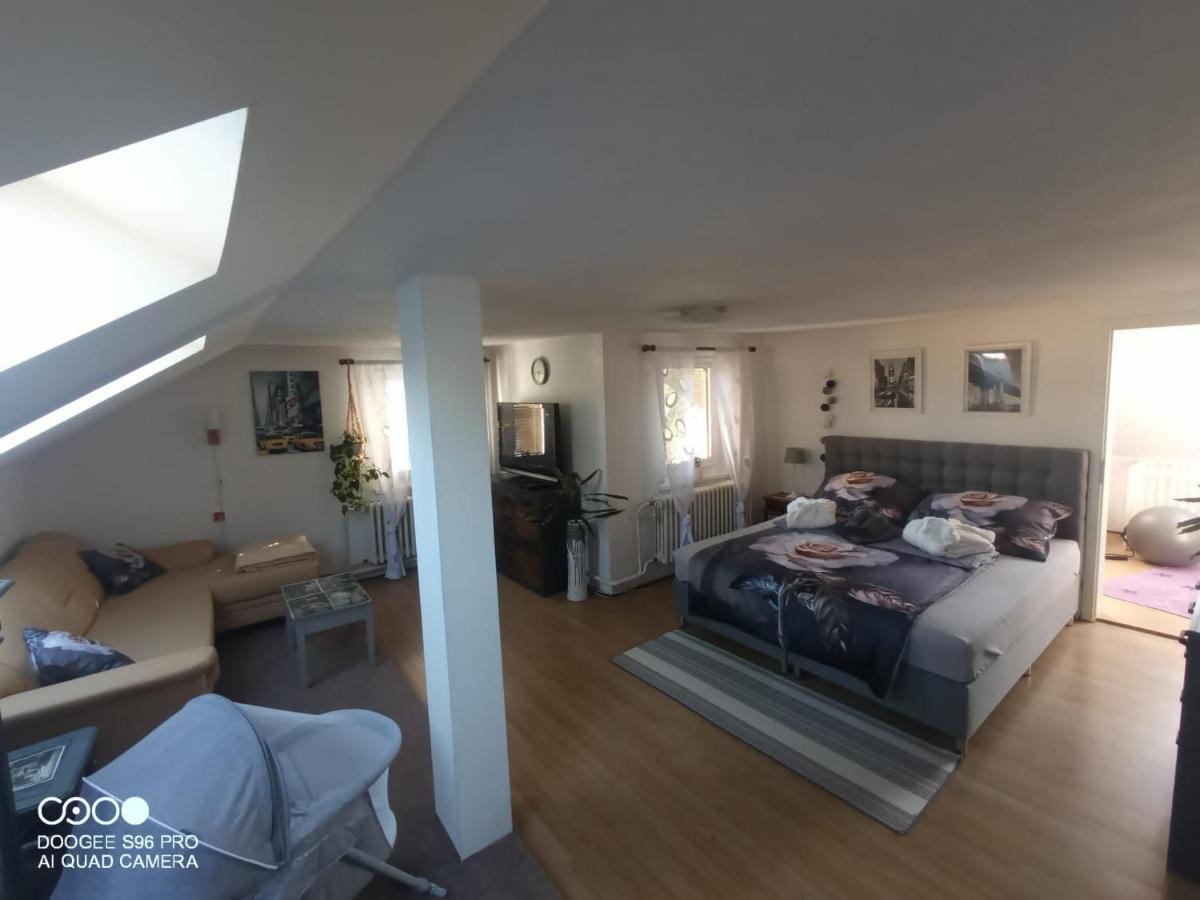 דירות רומבורק Podkrovni Apartman Tereza מראה חיצוני תמונה